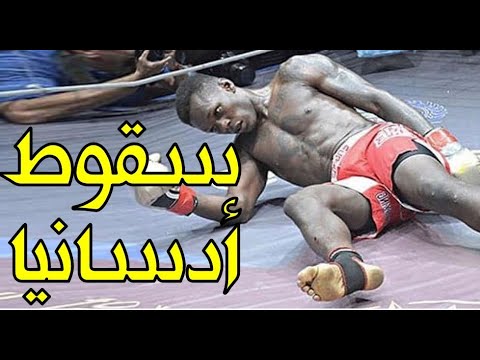 فيديو: فالدستينيا