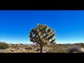 Joshua Tree, California