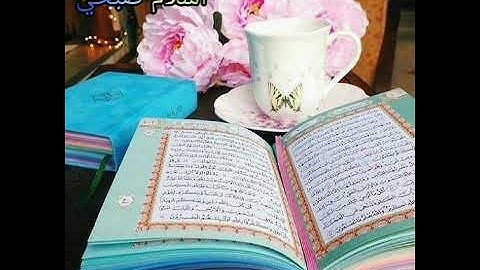 حاله واتس جميله💙 اسلام صبحي 👈سوره الحجر 👉❤