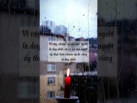 Video 5 trích dẫn hay nhất trong cuốn sách 
