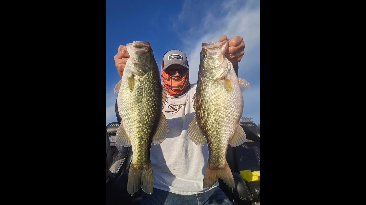 Swimbaits Only Big Bass Fishing Lure Retriever Episode