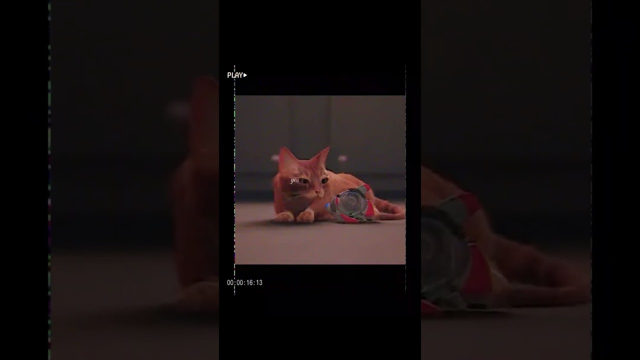 you took away my friend. - stray edit - 