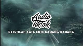 TIK TOK VIRAL ! DJ Istilah Kata Ente Kadang Kadang DJ Rendy Audio Tiktok