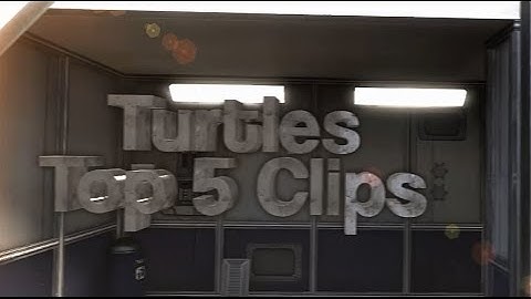 L7 Turtle- Top 5 Favorite Clips By Bubba (Read Desc.)