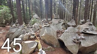 Appalachian Trail '19 Episode 45 - Seeking Shelter