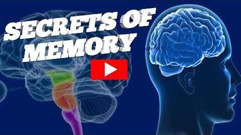 UNLOCKING THE SECRETS OF MEMORY| HOW OUR BRAIN REMEMBERS 🧠