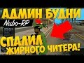 СПАЛИЛ ЖИРНОГО ЧИТЕРА - Админ Будни Самп (6)