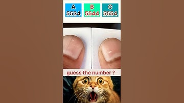 guess the number 🤔🫣#shorts #tranding #cat #music #motivation #quiz #ytshorts
