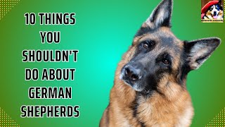 10 Things You Shouldn't Do About German Shepherds: A Guide to a Harmonious Relationship by Fantastic animals 96 views 10 months ago 6 minutes, 37 seconds