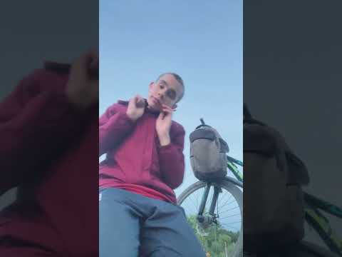 Музыка для будни