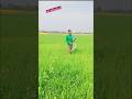 like and subscribe friends 🙏🙏#shorts#minivlog #viral #vlog #neetaspirents #shortvideo #trending