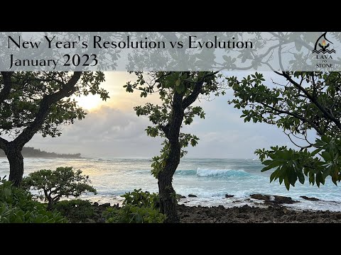 New Years Resolution vs Evolution - Step by Step! January 2023
