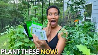 My Garden Is STILL Producing...Here's What to Plant in August! | Container Gardening