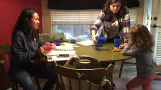 Mullen Scales of Early Learning