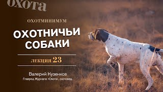Охотминимум. Лекция 23. Охотничьи собаки. Лекция эксперта-охотоведа