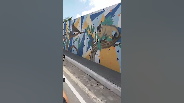 #Muro #pintado