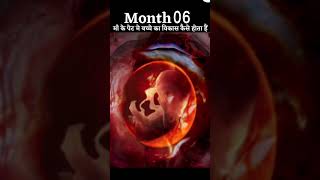 0 - 9 Month baby/ foetus development age & pregnancy.