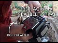 Replacing a Seatbelt: Dog Chewed it to bits!