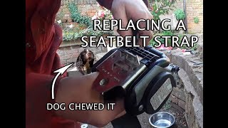 Replacing a Seatbelt: Dog Chewed it to bits!
