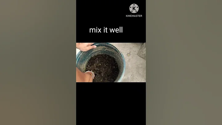 How to make cow dung fertilizer #gardeningtips #plants #garden #fertilizer