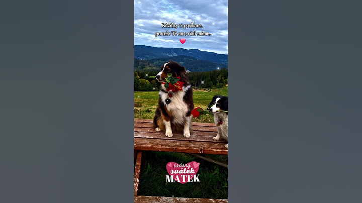 Všem maminkám přejeme krásný svátek ❤️#dog #protebe #cute #funny #love #viralvideo #foryou #nature