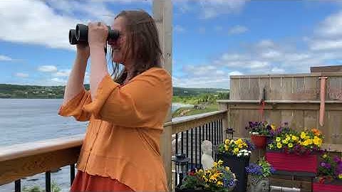 Inspired Morning on the Irish Loop - Newfoundland & Labrador