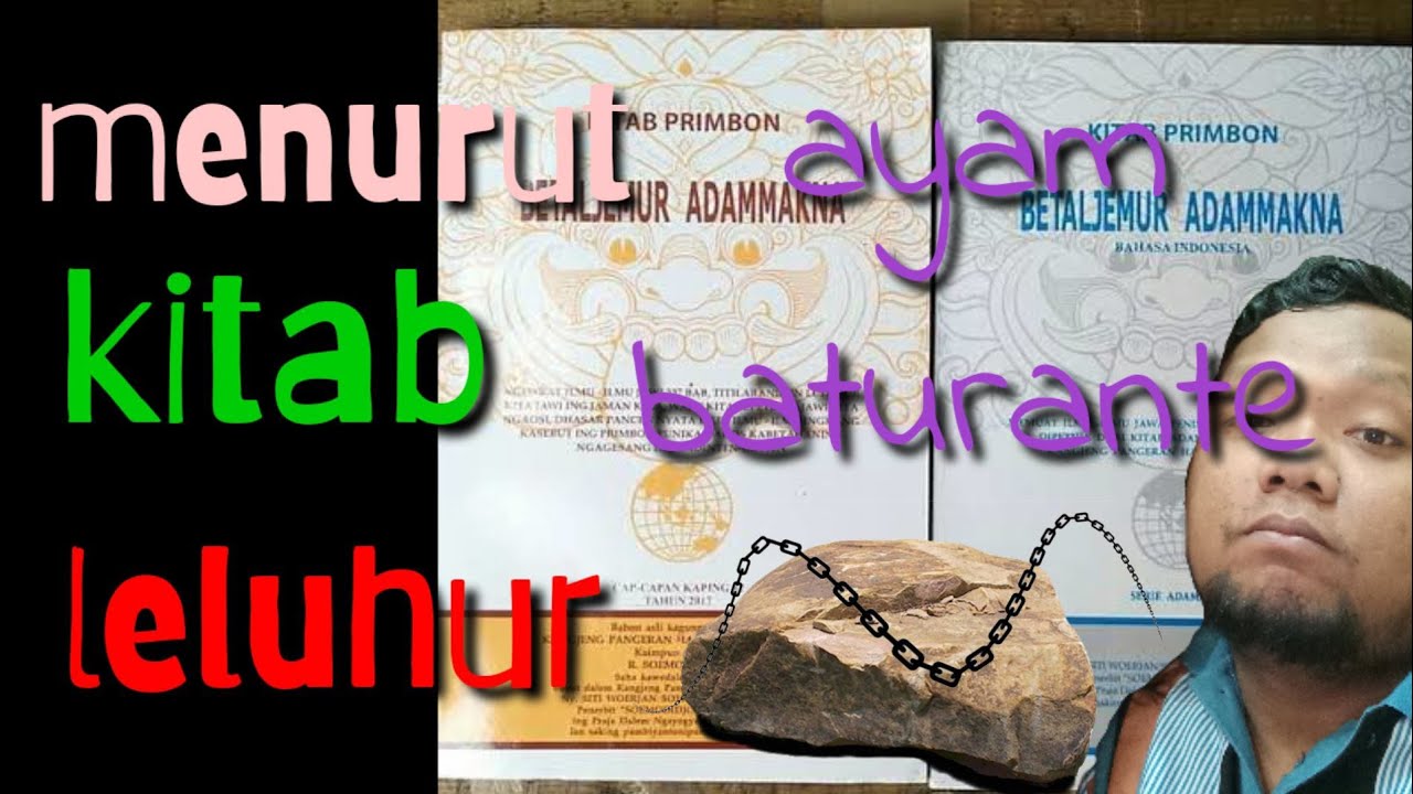 Batu Rante Mengenal ayam Batu rante / baturante #berburu ayam - YouTube