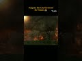 How A Volcano Destroyed A Beautiful City Pompeii Of Italy How A Volcano Destroyed A Beautiful City Pompeii Of Italy