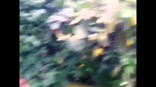 İsmail Yk Instagram Videoları İsmail Yeğeni Selina Ile