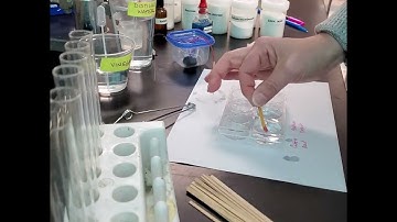 Unknown White Powder