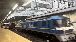 EF210-313号機[吹]牽引　高速貨物列車