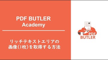 PDF Butler リッチテキストエリアの画像(1枚)を取得する方法｜Academyコンテンツ｜CloudCrossing Japan