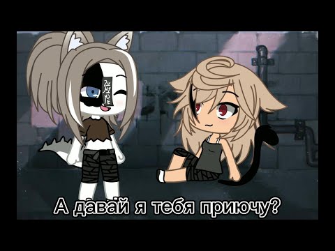 ~ Топ 10