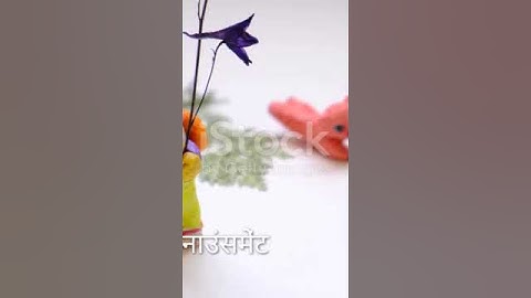 Pi Network New Update #PiCoin #BinanceListing #CryptoNews #PiNetwork #Bitcoin #BTC