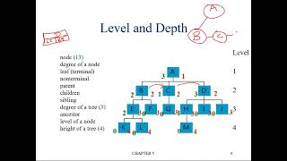 DS Lecture16