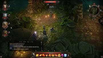 Divinity Original Sin - Phantom Forest - LEANDRA