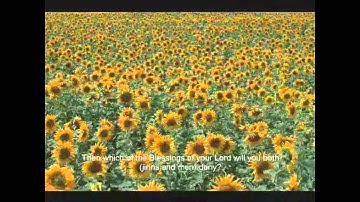 ★★★ 55 Sura Ar-Raĥmān 1-78 (The Beneficent) - سورة الرحمن Al Luhaidan ★★★