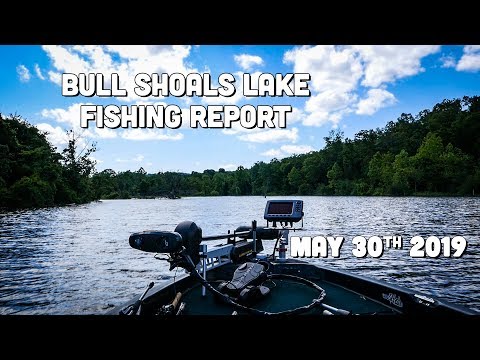 Repeat Bull Shoals Lake Fishing Report Del Colvin By Bull Shoals