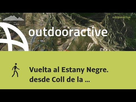 Vídeo: Què és l'agulla del coll de reblador de rosa?