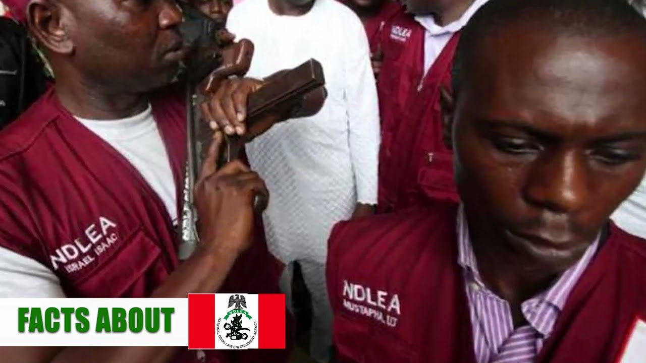 Facts You Need to Know About National Drug Law Enforcement Agency (NDLEA)