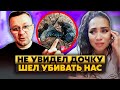 ⚡️Бл*дь! Мулатка РЫДАЕТ из-за ДВУХСОТОГО П*ДАРА! Мог стать ОТЦОМ. П*дара ПОЛОЖИЛИ под Покровском