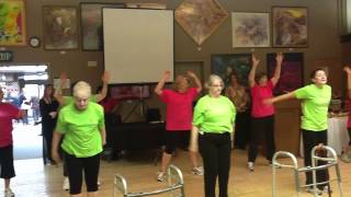 Career Overview Chugiak-Eagle River Senior's Flash Mob