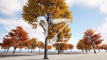 DZ Deciduous Trees Tutorial Video