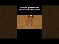#furry #furryart #furryfandom #vr #vrchat #furriesoftiktok #fursuitersofinstagram #furries