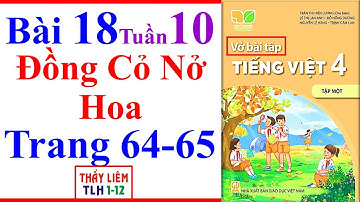 Vở Bài Tập Tiếng Việt Lớp 4 Bài 18 Tuần 10 | Đồng Cỏ Nở Hoa | Trang 64 - 65 | Kết Nối Tri Thức Tập 1