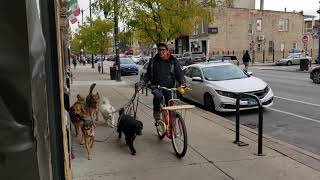 Chicago Illinois | Pilsen Neighborhood Voted Coolest neighborhoods in the World.