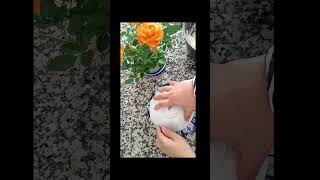 Kima Abone Olun Önemlidir