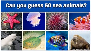 Guess the Sea Animal in 7 seconds | Ultimate Sea Animal Quiz | Easy to Impossible Sea Animals #quiz