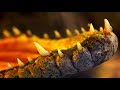 КОЛОМНА Крокодилы, экзотические животные едим улиток. ЭКОДЕРЕВУШКА  Отдых 2019 влог