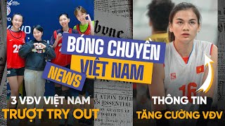 TIN BÓNG CHUYỀN | NGÀY 2/5 | Bộ 3 Việt Nam trượt try - out Hàn Quốc, Thông Tin tăng cường VĐV